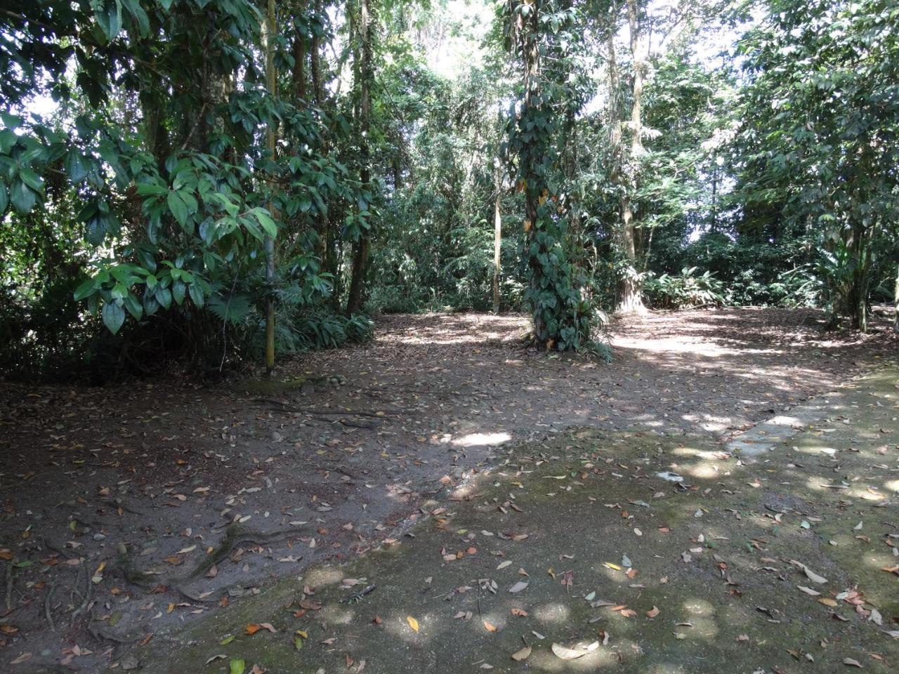 Horquetas River Lodge Sarapiqui Luaran gambar