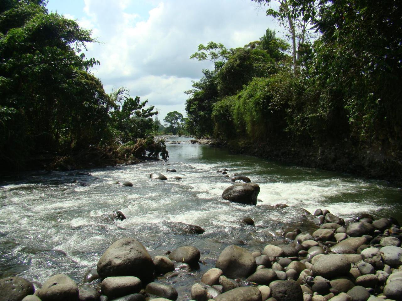 Horquetas River Lodge Sarapiqui Luaran gambar