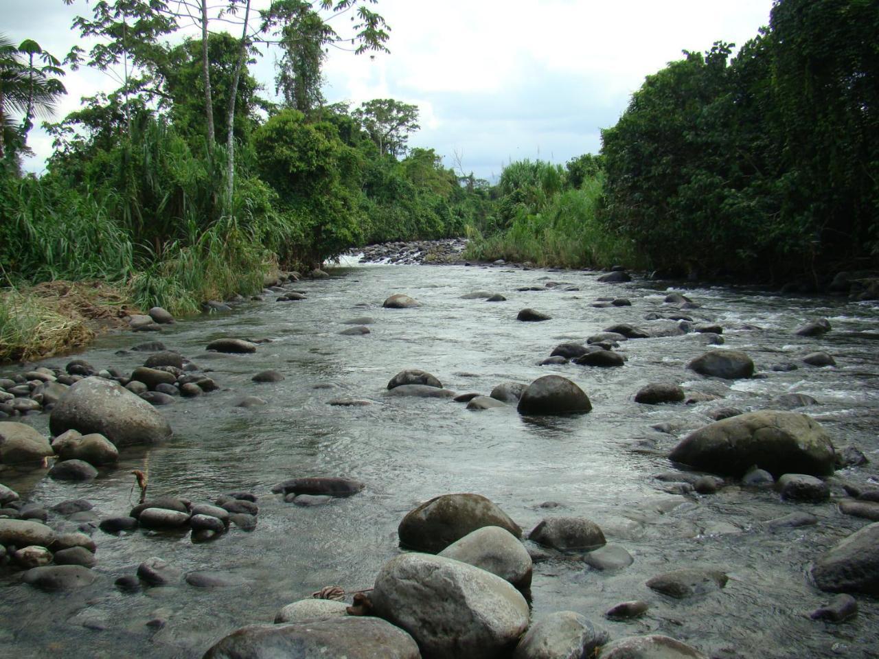 Horquetas River Lodge Sarapiqui Luaran gambar