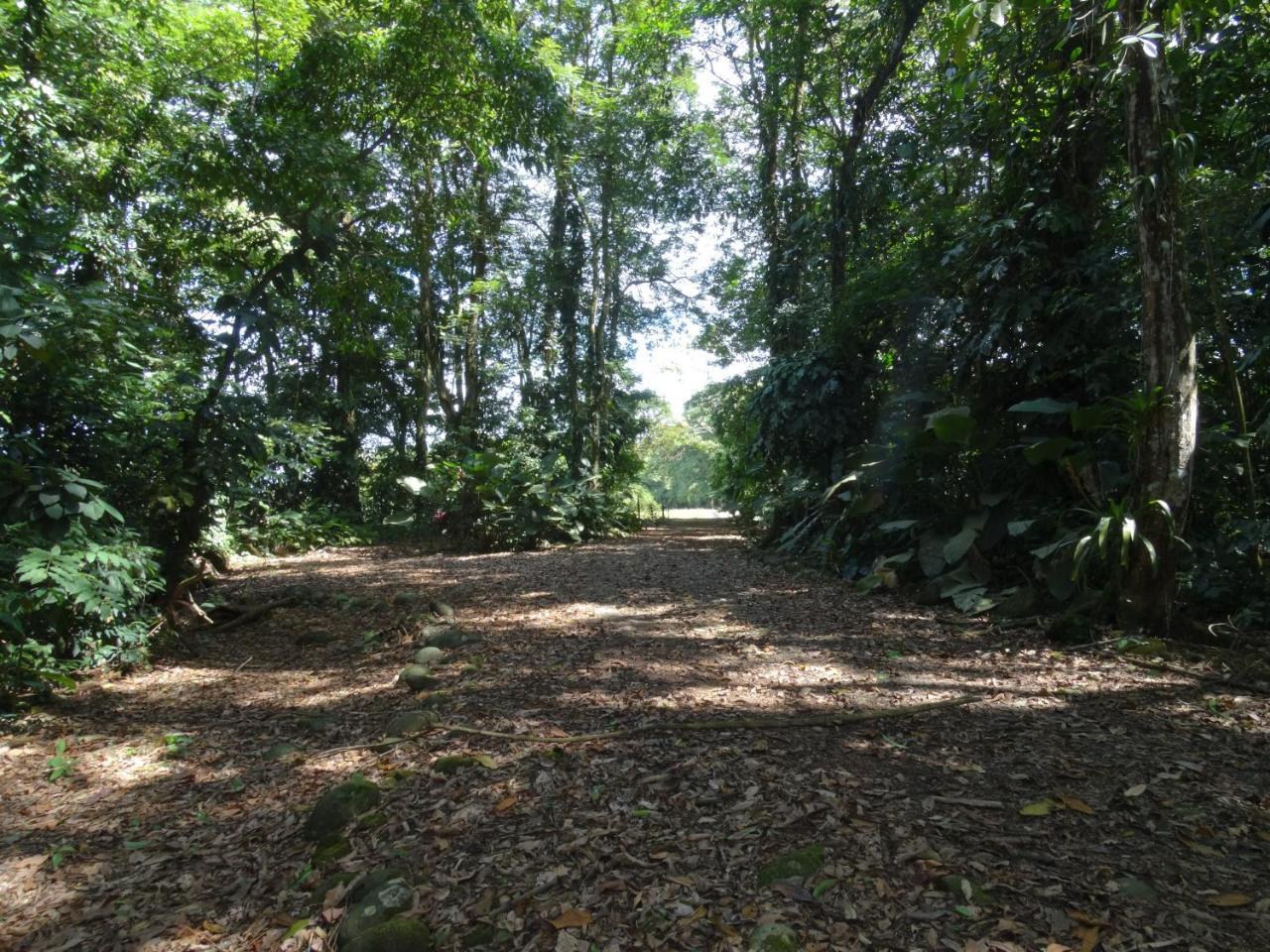 Horquetas River Lodge Sarapiqui Luaran gambar