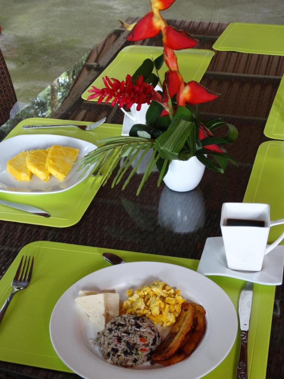 Horquetas River Lodge Sarapiqui Luaran gambar