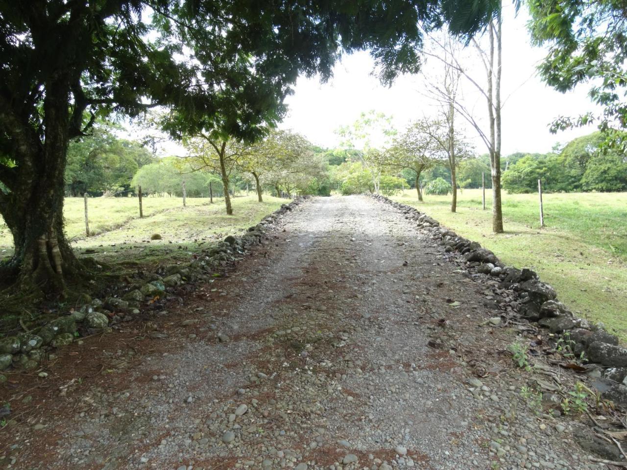 Horquetas River Lodge Sarapiqui Luaran gambar