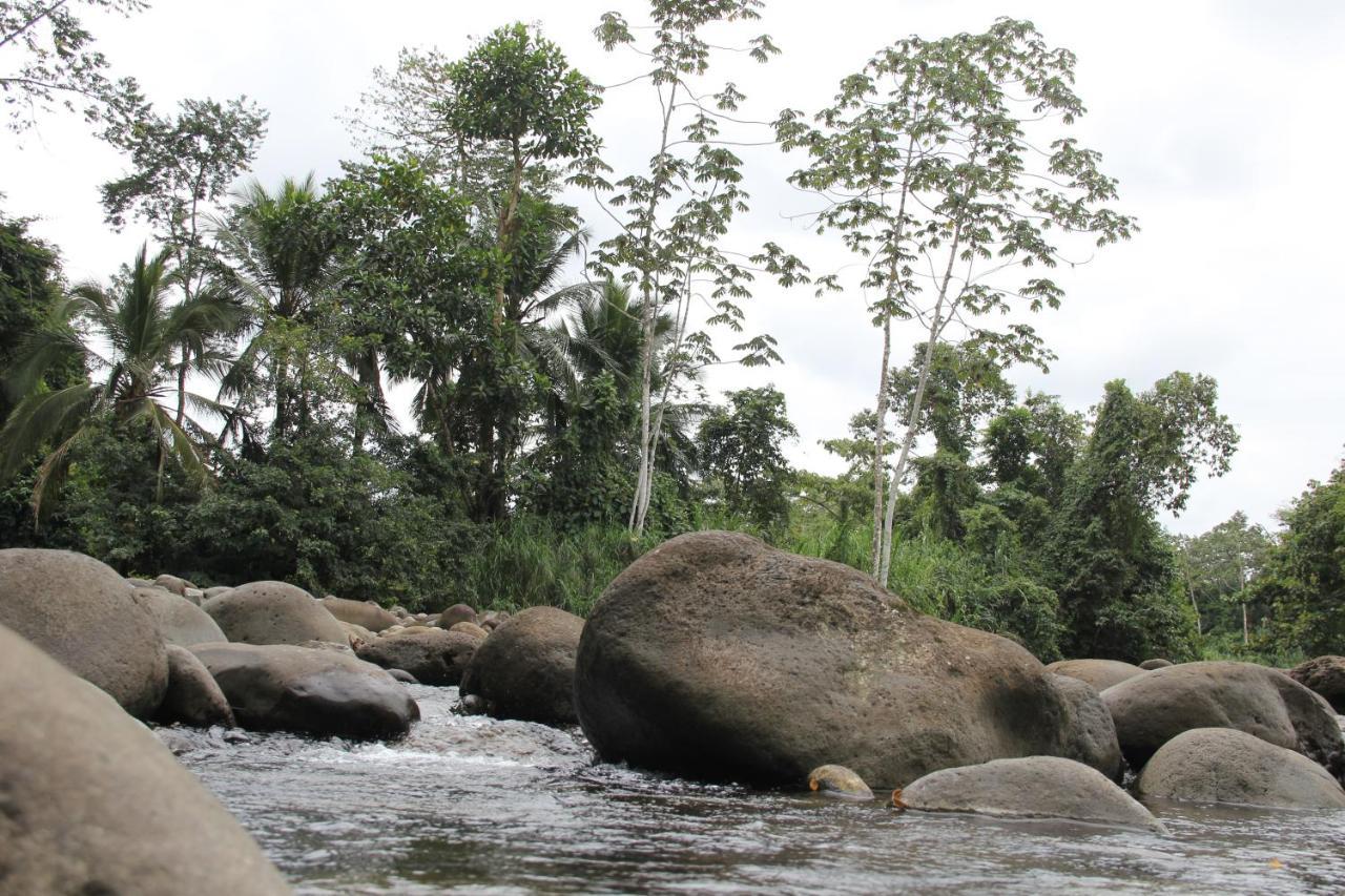 Horquetas River Lodge Sarapiqui Luaran gambar