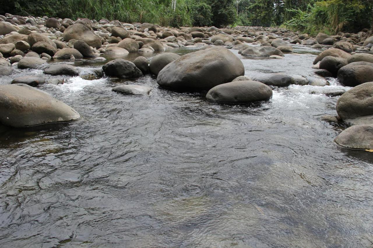 Horquetas River Lodge Sarapiqui Luaran gambar