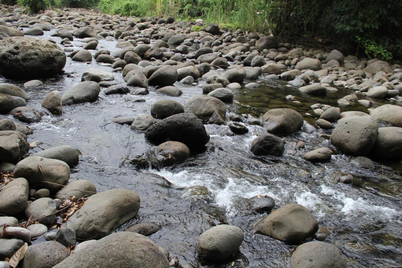 Horquetas River Lodge Sarapiqui Luaran gambar