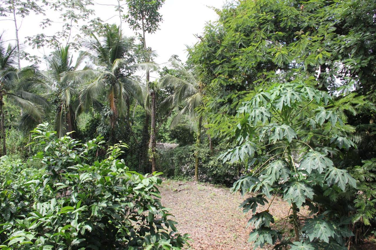Horquetas River Lodge Sarapiqui Luaran gambar