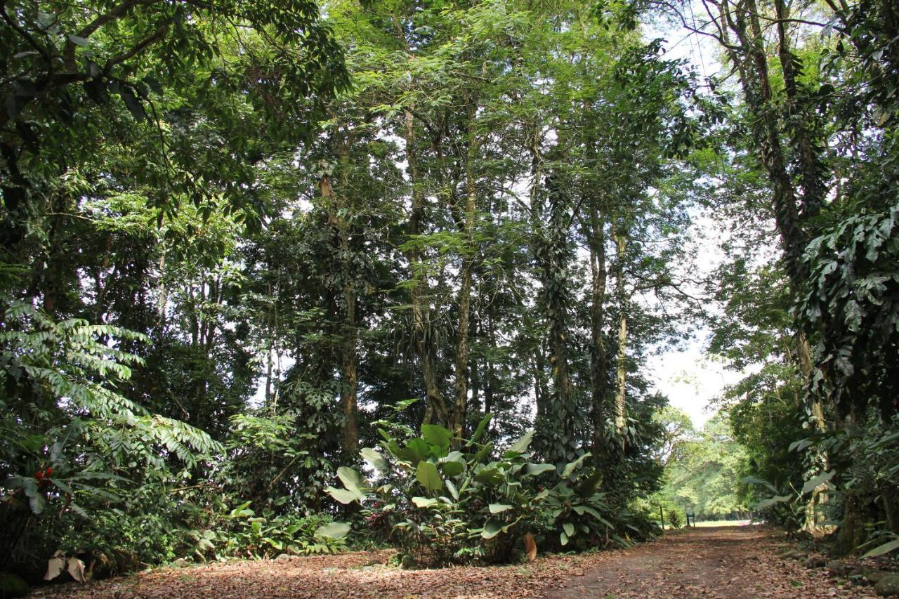 Horquetas River Lodge Sarapiqui Luaran gambar