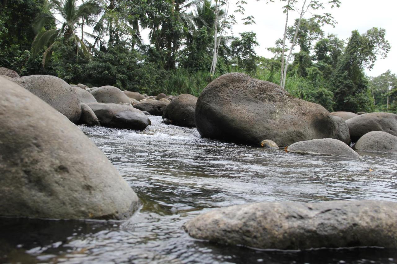 Horquetas River Lodge Sarapiqui Luaran gambar