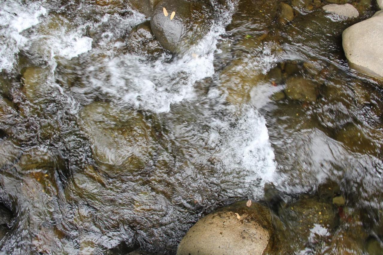 Horquetas River Lodge Sarapiqui Luaran gambar
