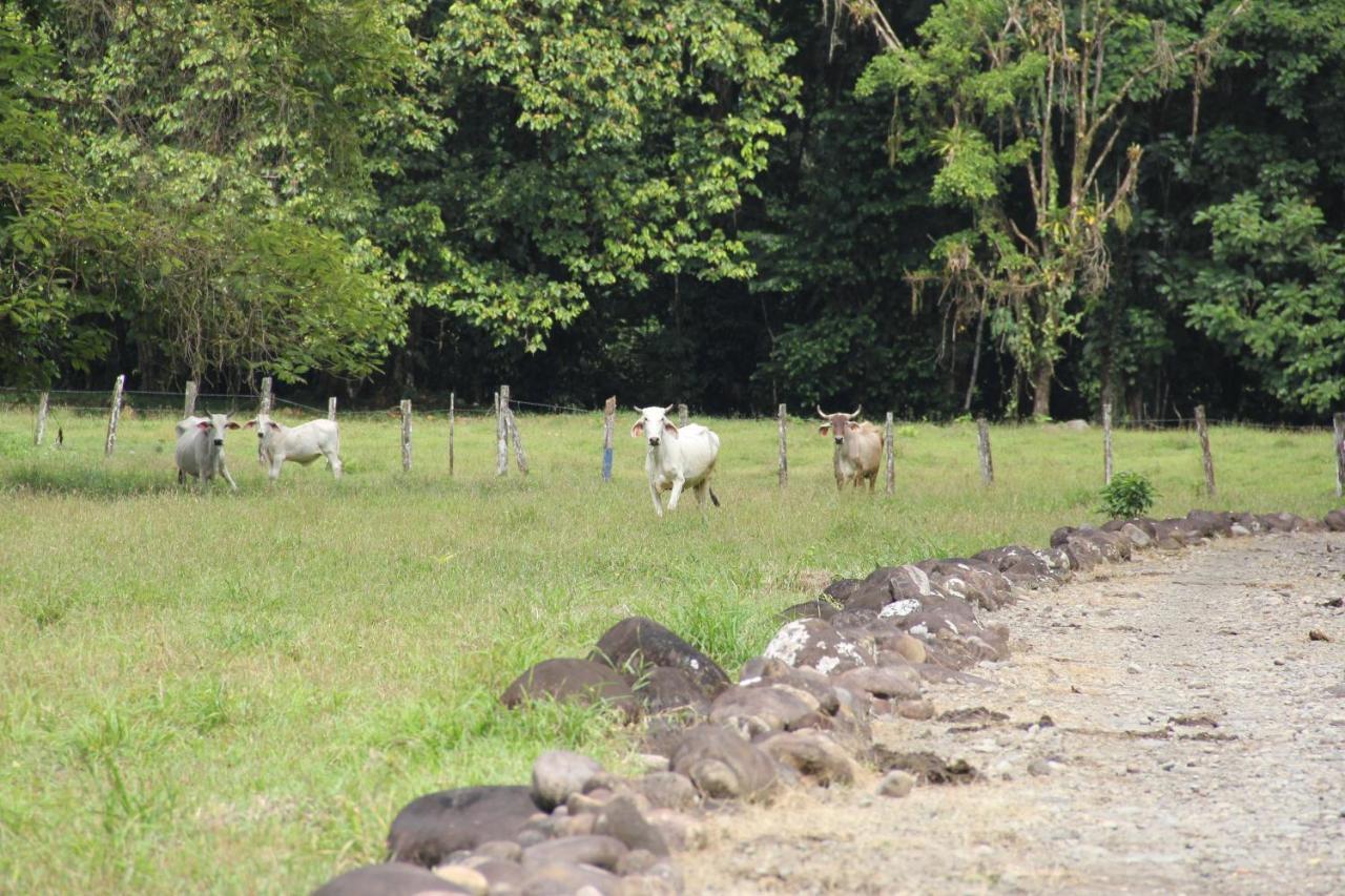 Horquetas River Lodge Sarapiqui Luaran gambar
