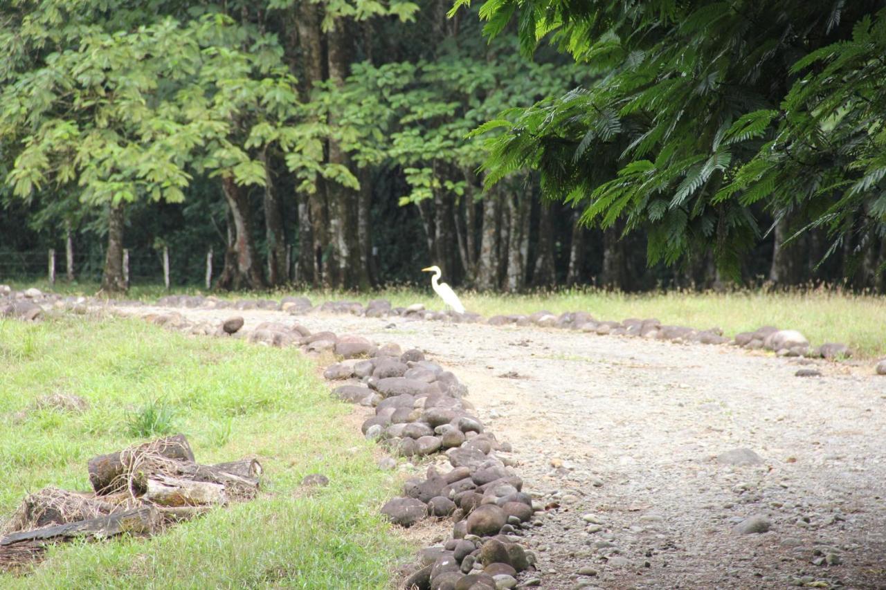 Horquetas River Lodge Sarapiqui Luaran gambar
