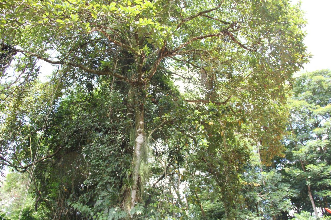 Horquetas River Lodge Sarapiqui Luaran gambar