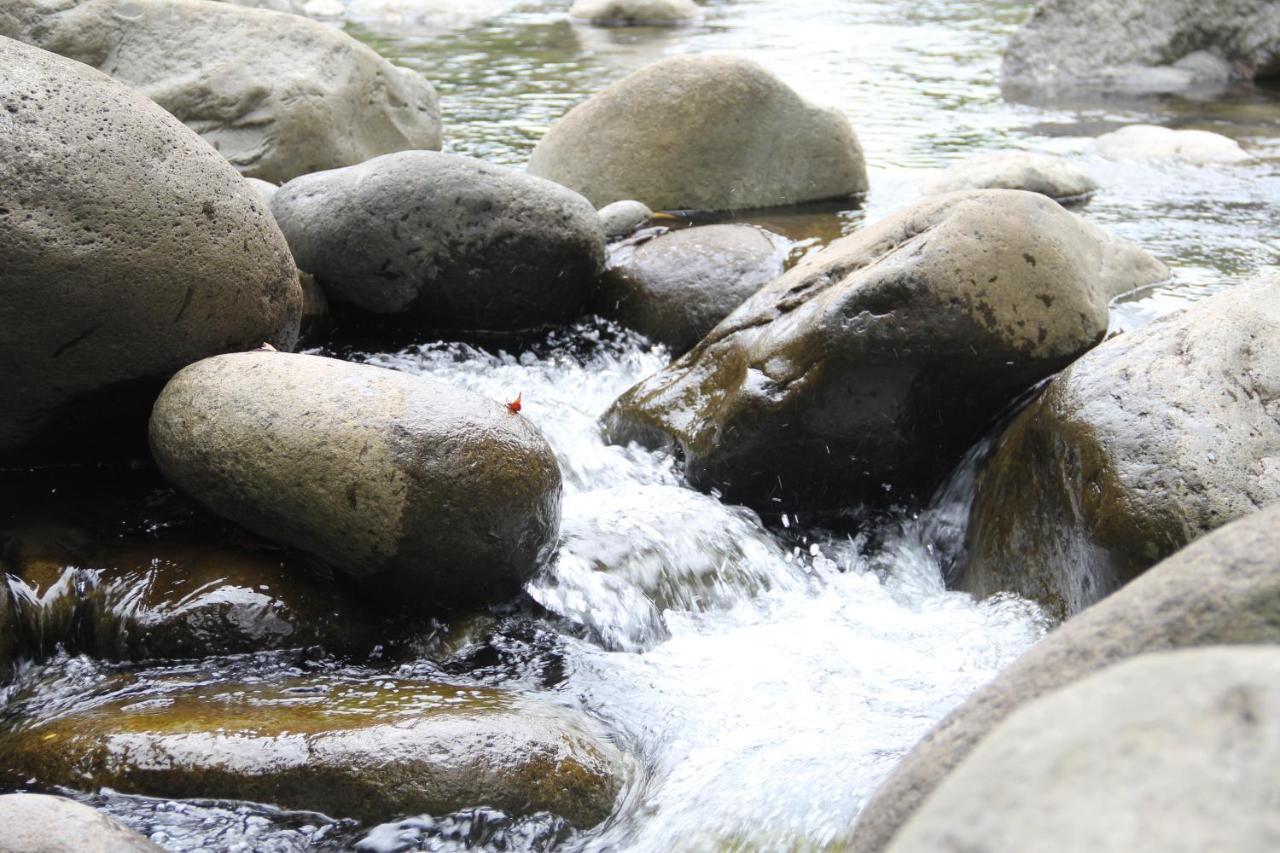 Horquetas River Lodge Sarapiqui Luaran gambar